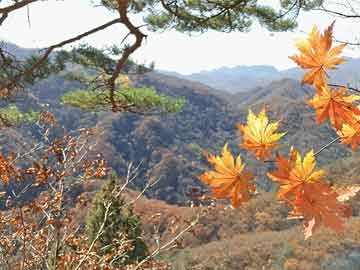 全国新增3例本土新冠病例，防控形势与应对措施,全国新增3例本土新冠病例